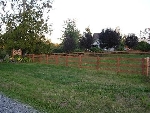 dscn04231