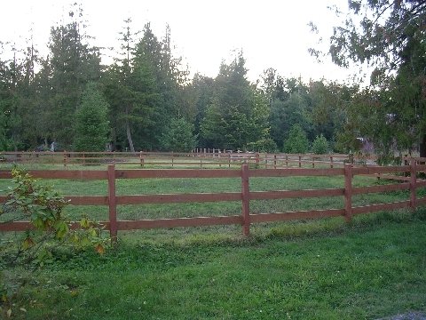 dscn04241